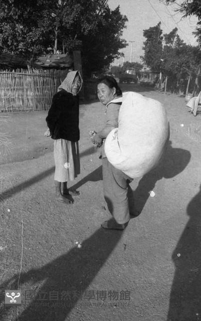 1950至2006年臺灣常民生活藏品圖，第1張