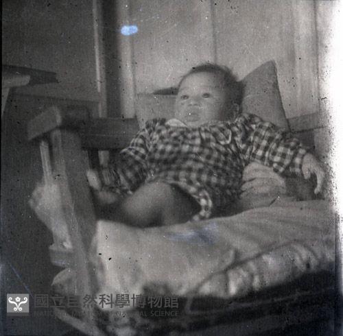 1950至2006年臺灣常民生活藏品圖，第1張
