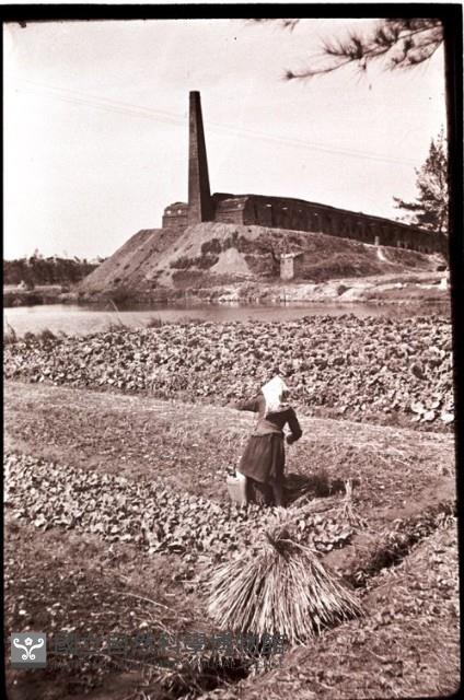 1950至2006年臺灣常民生活藏品圖，第1張