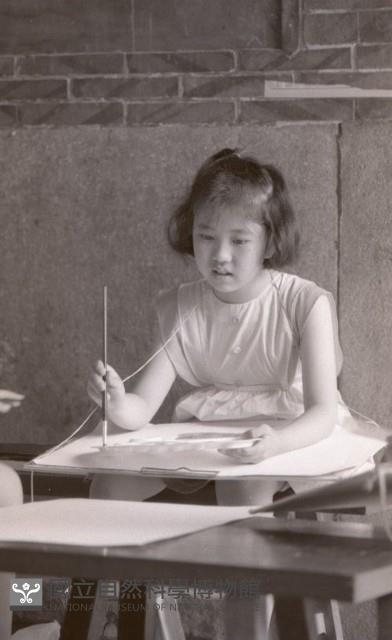 1950至2006年臺灣常民生活藏品圖，第1張