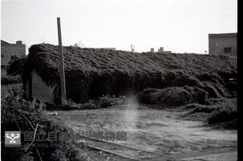 1950至2006年臺灣常民生活藏品圖，第1張