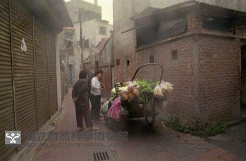 1950至2006年臺灣常民生活藏品圖，第1張