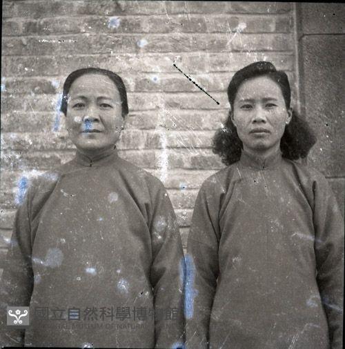 1950至2006年臺灣常民生活藏品圖，第1張