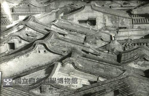 1950至2006年台灣常民生活藏品圖，第1張