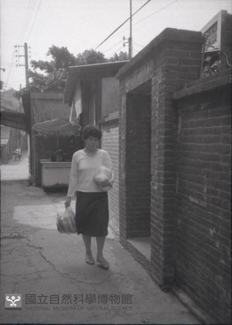 1950至2006年臺灣常民生活藏品圖，第1張