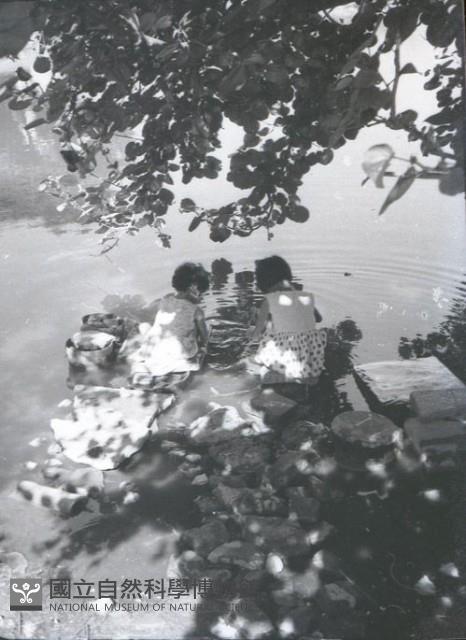 1950至2006年臺灣常民生活藏品圖，第1張