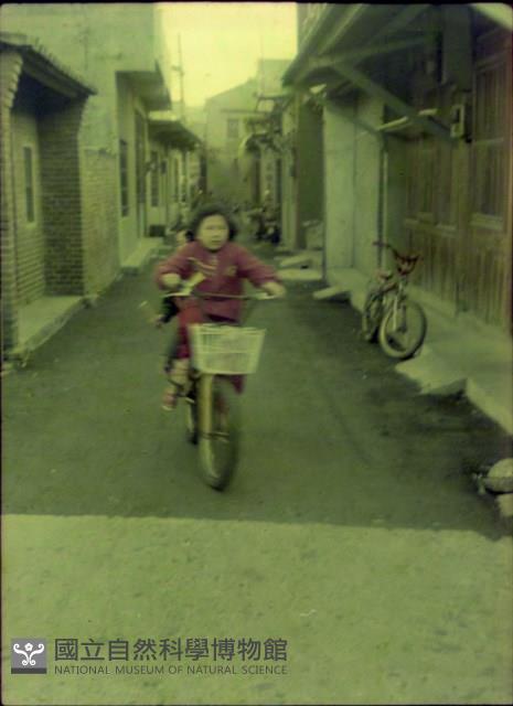 1950至2006年臺灣常民生活藏品圖，第1張