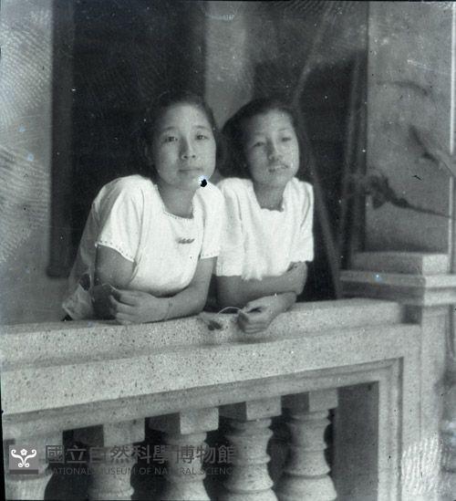 1950至2006年臺灣常民生活藏品圖，第1張