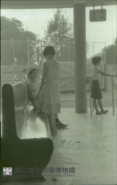 1950至2006年臺灣常民生活藏品圖，第1張