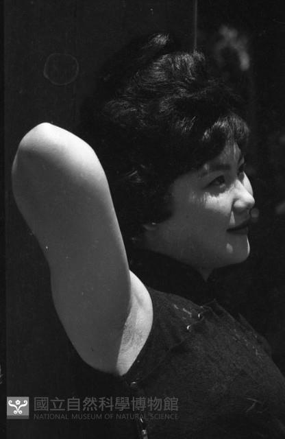 1950至2006年臺灣常民生活藏品圖，第1張