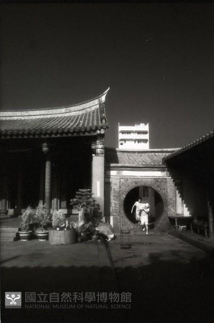 1950至2006年臺灣常民生活藏品圖，第1張