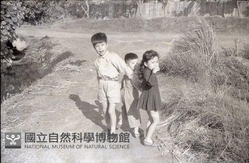 1950至2006年臺灣常民生活藏品圖，第1張