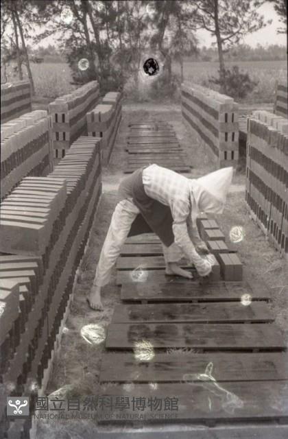 1950至2006年臺灣常民生活藏品圖，第1張