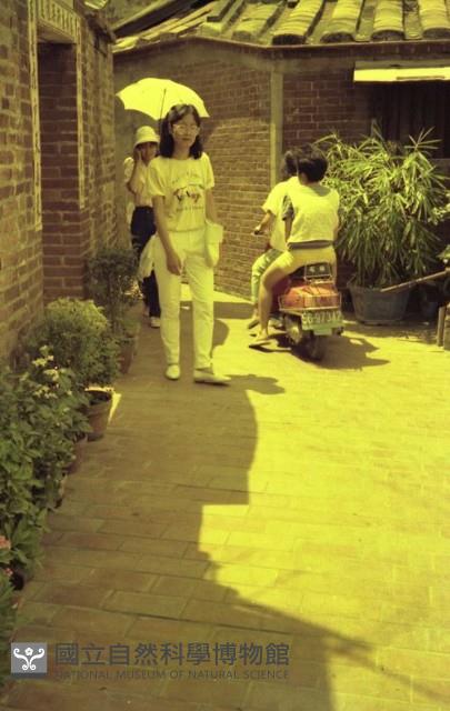 1950至2006年臺灣常民生活藏品圖，第1張