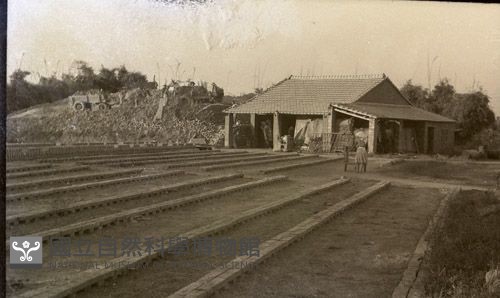 1950至2006年臺灣常民生活藏品圖，第1張