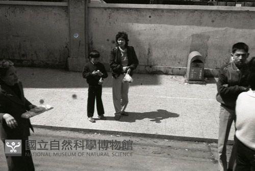 1950至2006年台灣常民生活藏品圖，第1張