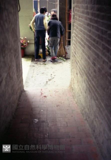 1950至2006年臺灣常民生活藏品圖，第1張