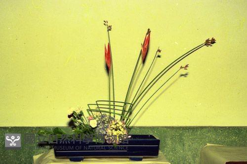 1950至2006年臺灣常民生活藏品圖，第1張