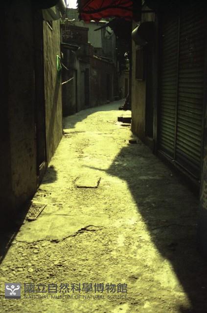 1950至2006年臺灣常民生活藏品圖，第1張