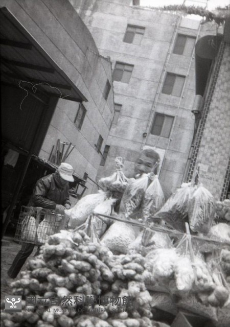 1950至2006年臺灣常民生活藏品圖，第1張