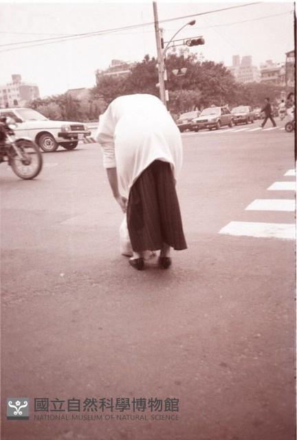 1950至2006年臺灣常民生活藏品圖，第1張