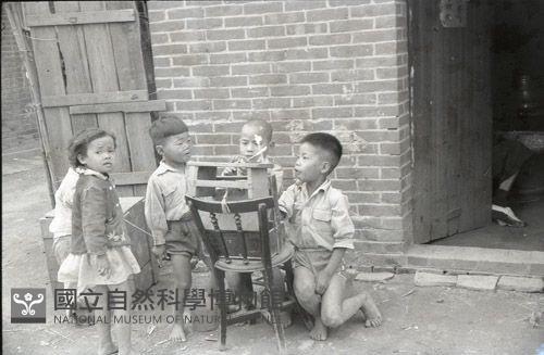 1950至2006年臺灣常民生活藏品圖，第1張