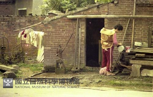 1950至2006年臺灣常民生活藏品圖，第1張