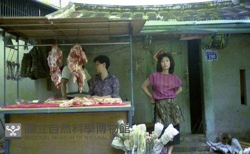 1950至2006年臺灣常民生活藏品圖，第1張