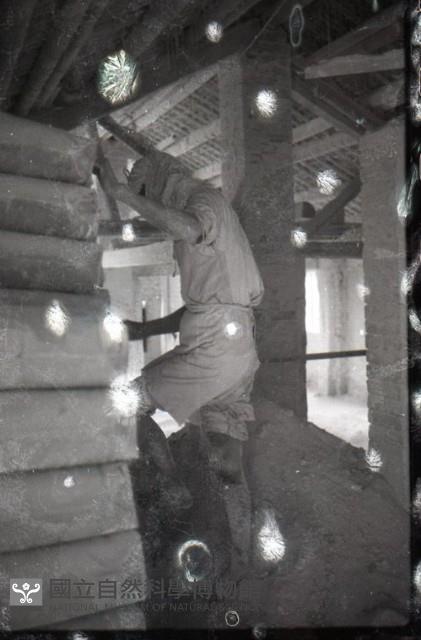 1950至2006年臺灣常民生活藏品圖，第1張