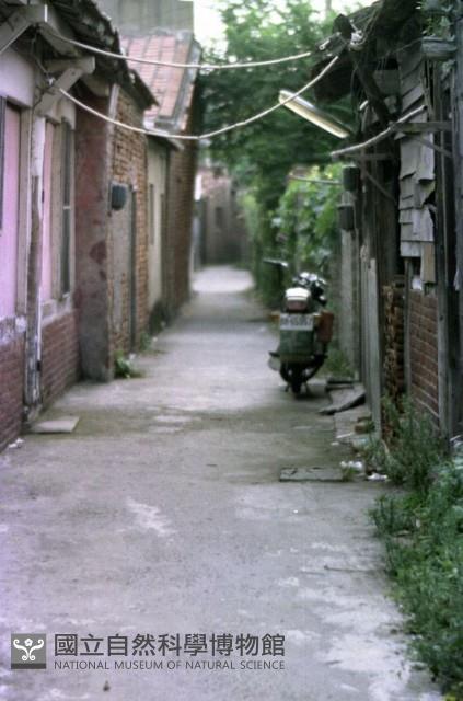 1950至2006年臺灣常民生活藏品圖，第1張