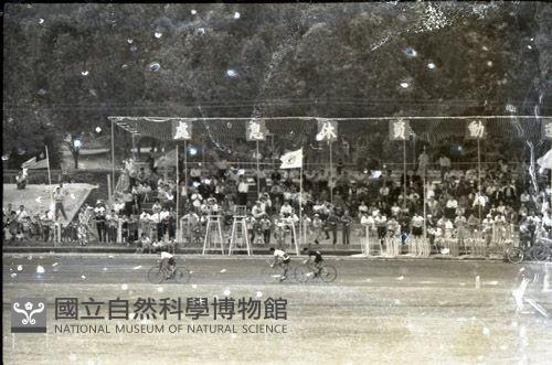 1950至2006年臺灣常民生活藏品圖，第1張