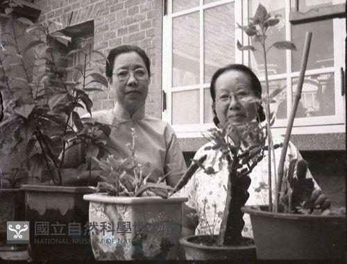 1950至2006年臺灣常民生活藏品圖，第1張