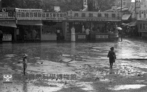 1950至2006年臺灣常民生活藏品圖，第1張