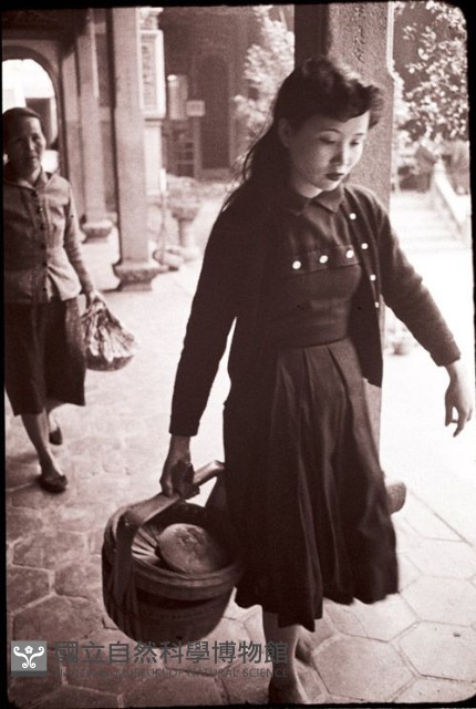 1950至2006年臺灣常民生活藏品圖，第1張