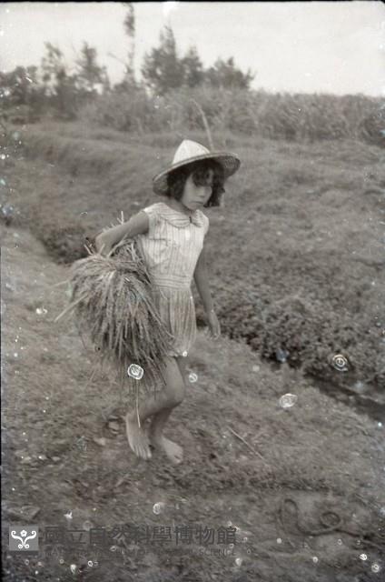 1950至2006年臺灣常民生活藏品圖，第1張