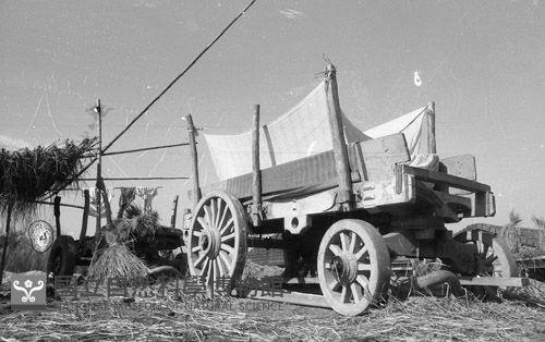 1950至2006年臺灣常民生活藏品圖，第1張