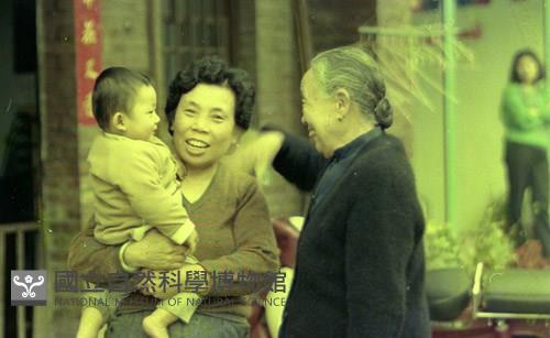 1950至2006年臺灣常民生活藏品圖，第1張