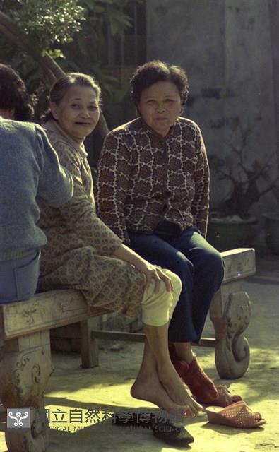 1950至2006年臺灣常民生活藏品圖，第1張