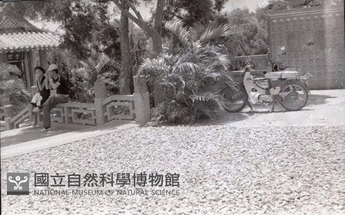 1950至2006年臺灣常民生活藏品圖，第1張