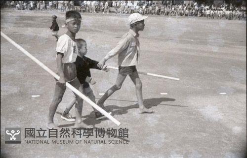 1950至2006年台灣常民生活藏品圖，第1張