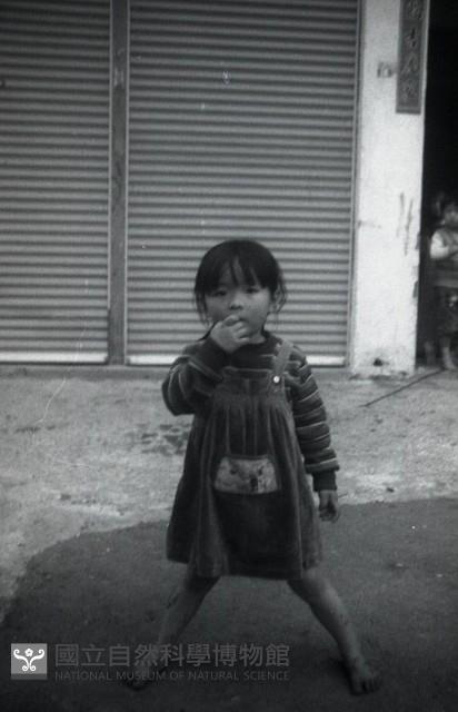 1950至2006年臺灣常民生活藏品圖，第1張