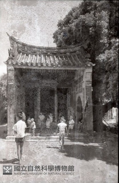 1950至2006年臺灣常民生活藏品圖，第1張