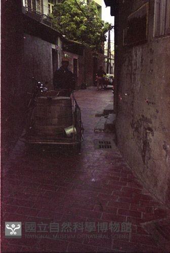 1950至2006年臺灣常民生活藏品圖，第1張