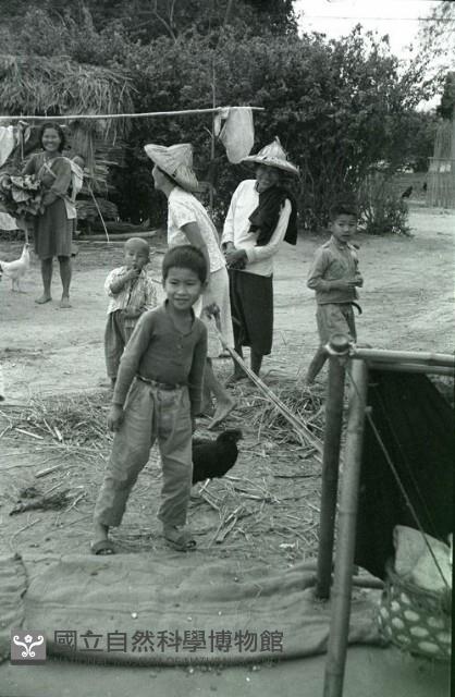 1950至2006年臺灣常民生活藏品圖，第1張