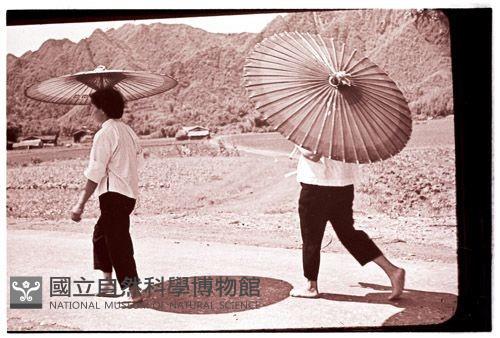 1950至2006年臺灣常民生活藏品圖，第1張