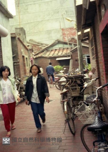 1950至2006年臺灣常民生活藏品圖，第1張