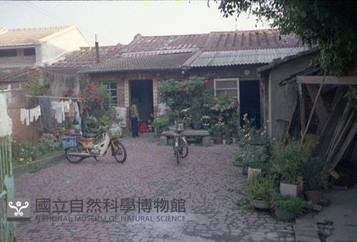 1950至2006年臺灣常民生活藏品圖，第1張