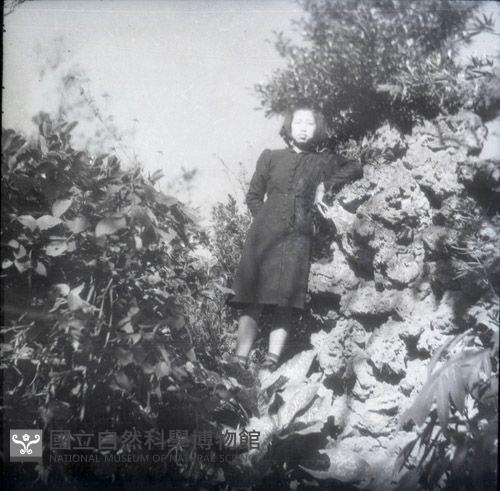 1950至2006年臺灣常民生活藏品圖，第1張