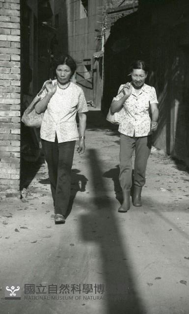 1950至2006年臺灣常民生活藏品圖，第1張