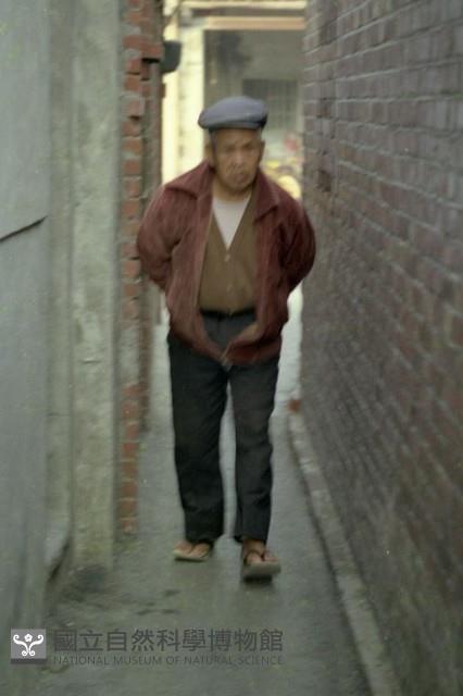 1950至2006年臺灣常民生活藏品圖，第1張